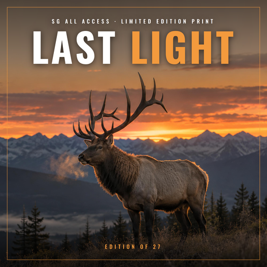 LAST LIGHT